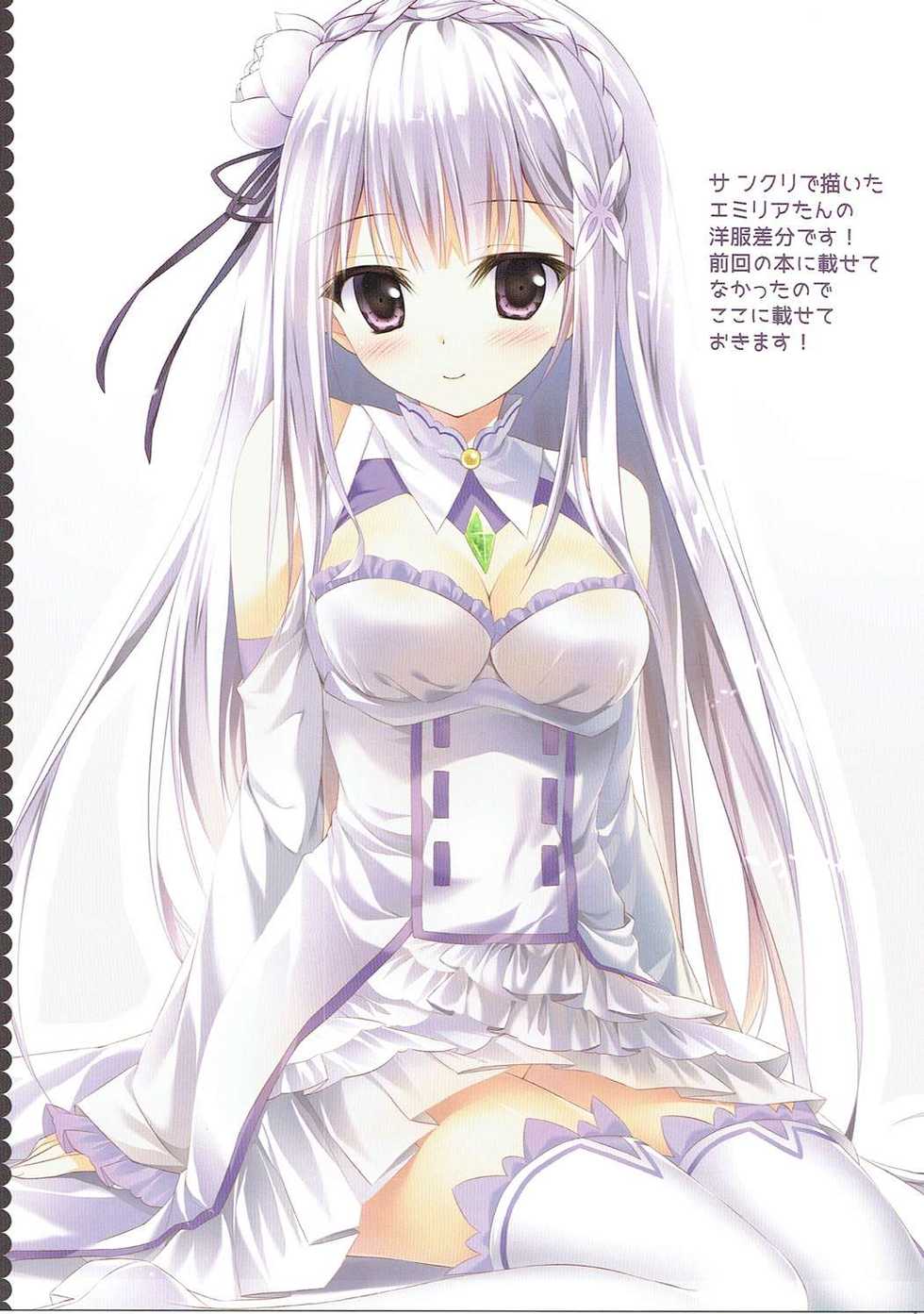 (C90) [Amezaiku (Shiramori Yuse)] Ram Rem Route Totsunyuu!? (Re:Zero kara Hajimeru Isekai Seikatsu) - Page 12