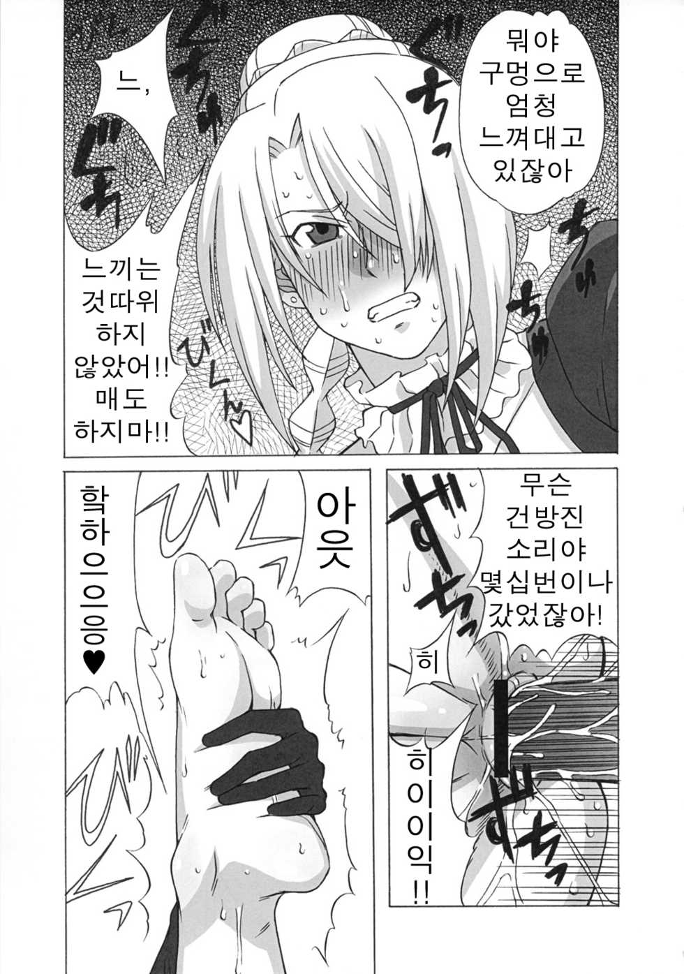 (C81) [BooBooKid (PIP)] Hilda-san ni Hidoi Koto o Shite Mita. (Beelzebub) [Korean] - Page 10
