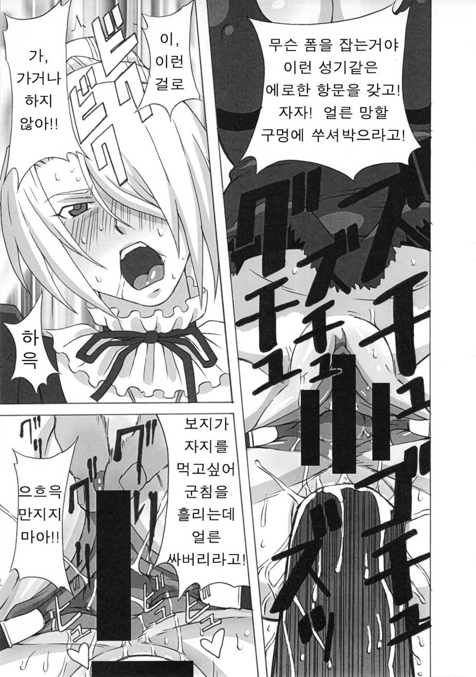 (C81) [BooBooKid (PIP)] Hilda-san ni Hidoi Koto o Shite Mita. (Beelzebub) [Korean] - Page 14