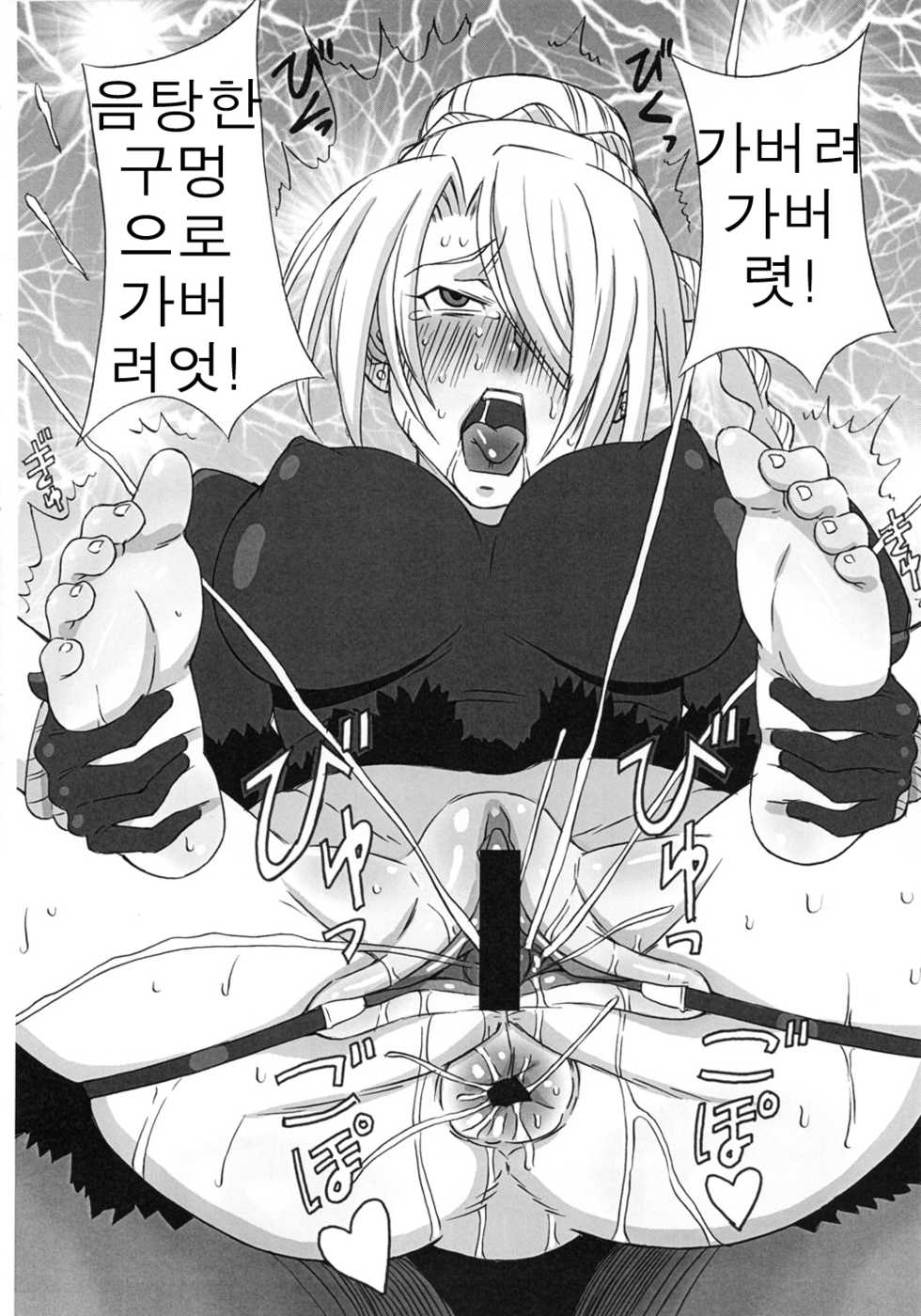 (C81) [BooBooKid (PIP)] Hilda-san ni Hidoi Koto o Shite Mita. (Beelzebub) [Korean] - Page 17