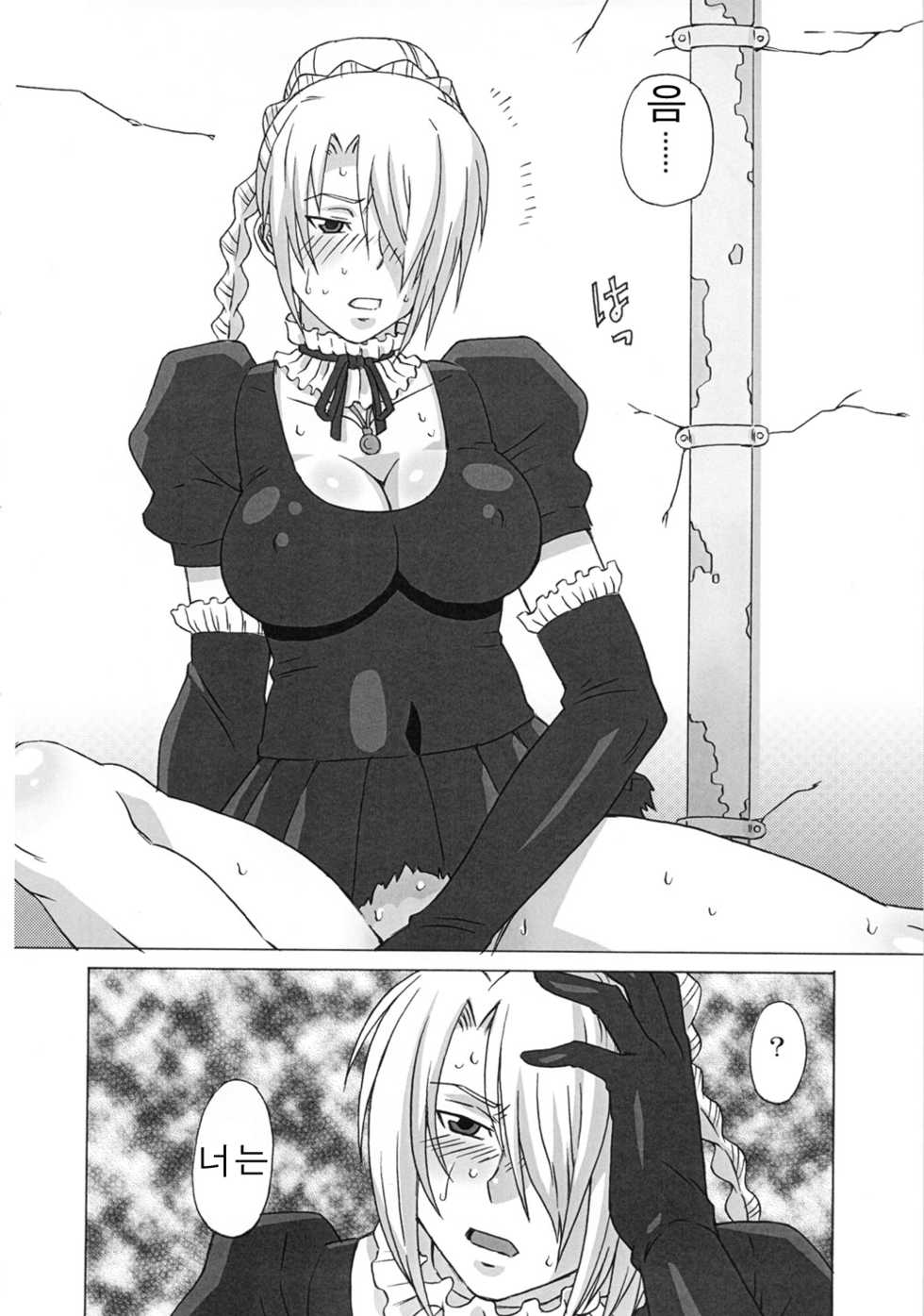 (C81) [BooBooKid (PIP)] Hilda-san ni Hidoi Koto o Shite Mita. (Beelzebub) [Korean] - Page 19