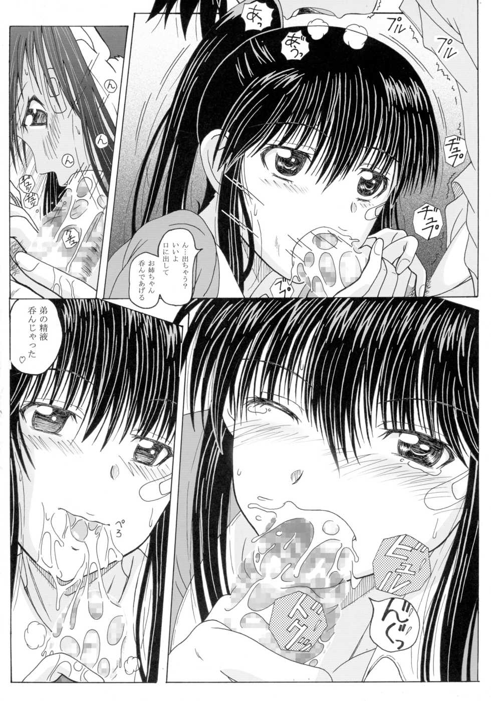 (SC47) [HANA TO RIBON (Puripuri Uemon)] The Onee-chans (Kiss x Sis) - Page 18
