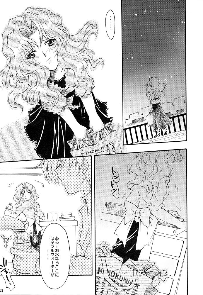 (C66) [Kotori Jimusho (Sakura Bunchou)] Kono inochi dare no mono (Sailor Moon) - Page 25