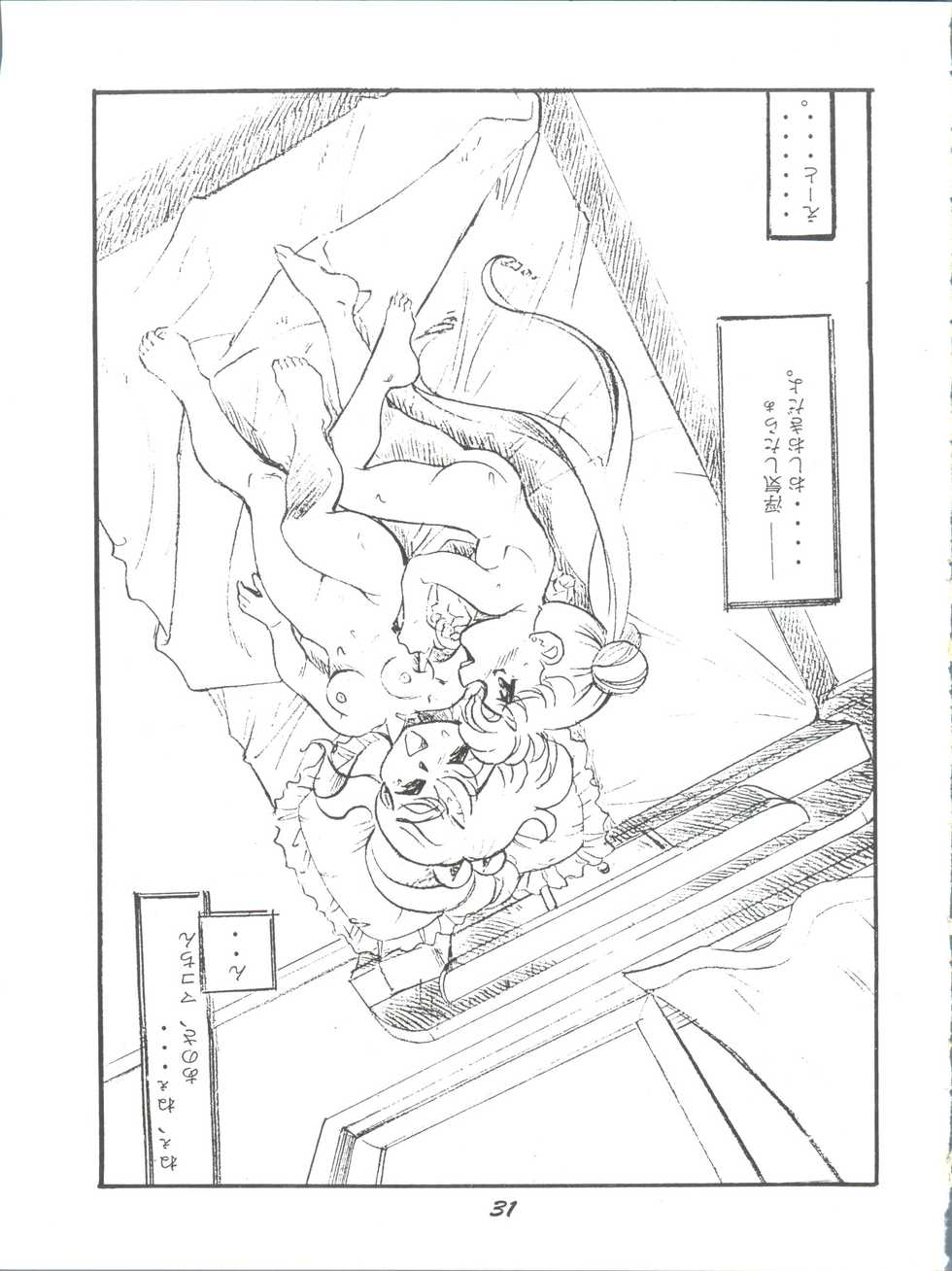 (Comic Castle 8) [Studio Parfe (Dohi Kensuke)] Tsukikage (Bishoujo Senshi Sailor Moon) - Page 30