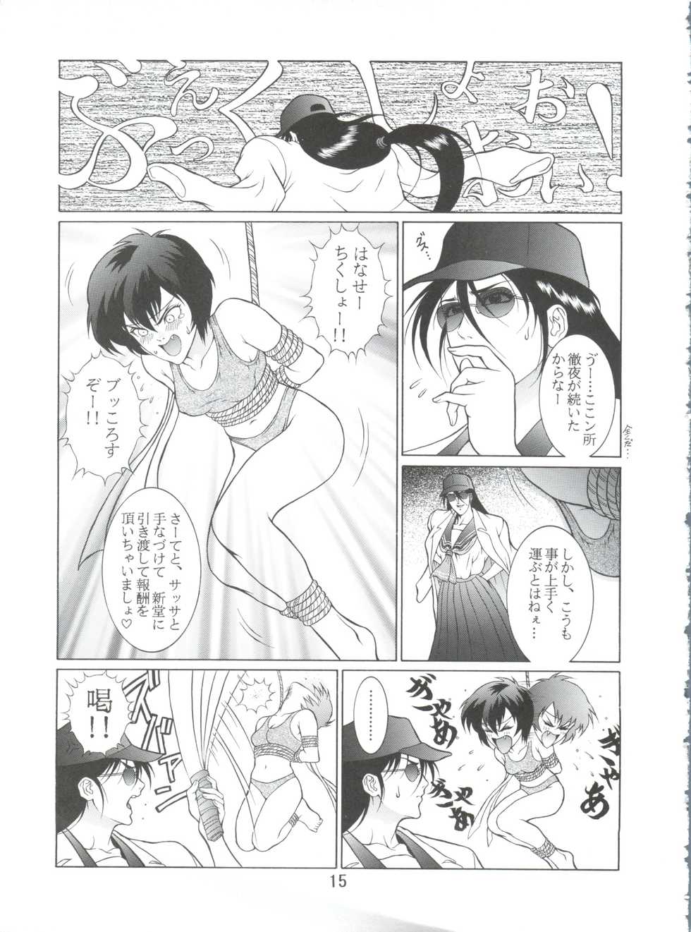 (C51) [Koa (Various)] Dengeki Inuoh 4 (Various) - Page 16
