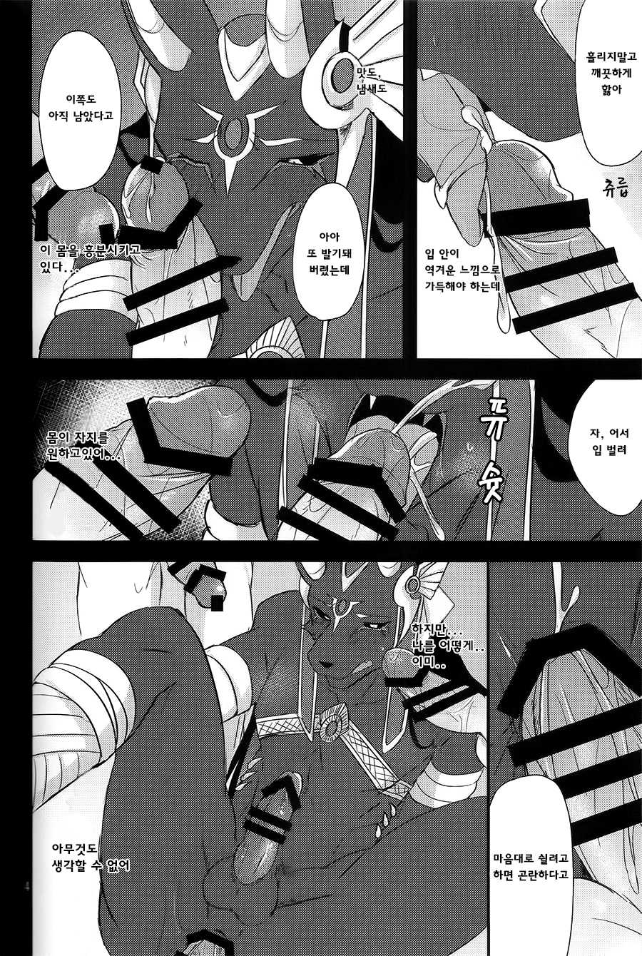 (Kansai! Kemoket 3) LS ga Hatsudou Shinai Dame Meiroushin Sama ni Oshioki 10 Combo Suru Tomo no Kai | 리더스킬을 못쓰는 어두운 지옥의 늑대 신에게 벌을 징고 10콤보를 달성하게 하는 모임 (Puzzle & Dragons) [Korean] [하얀여우] - Page 14