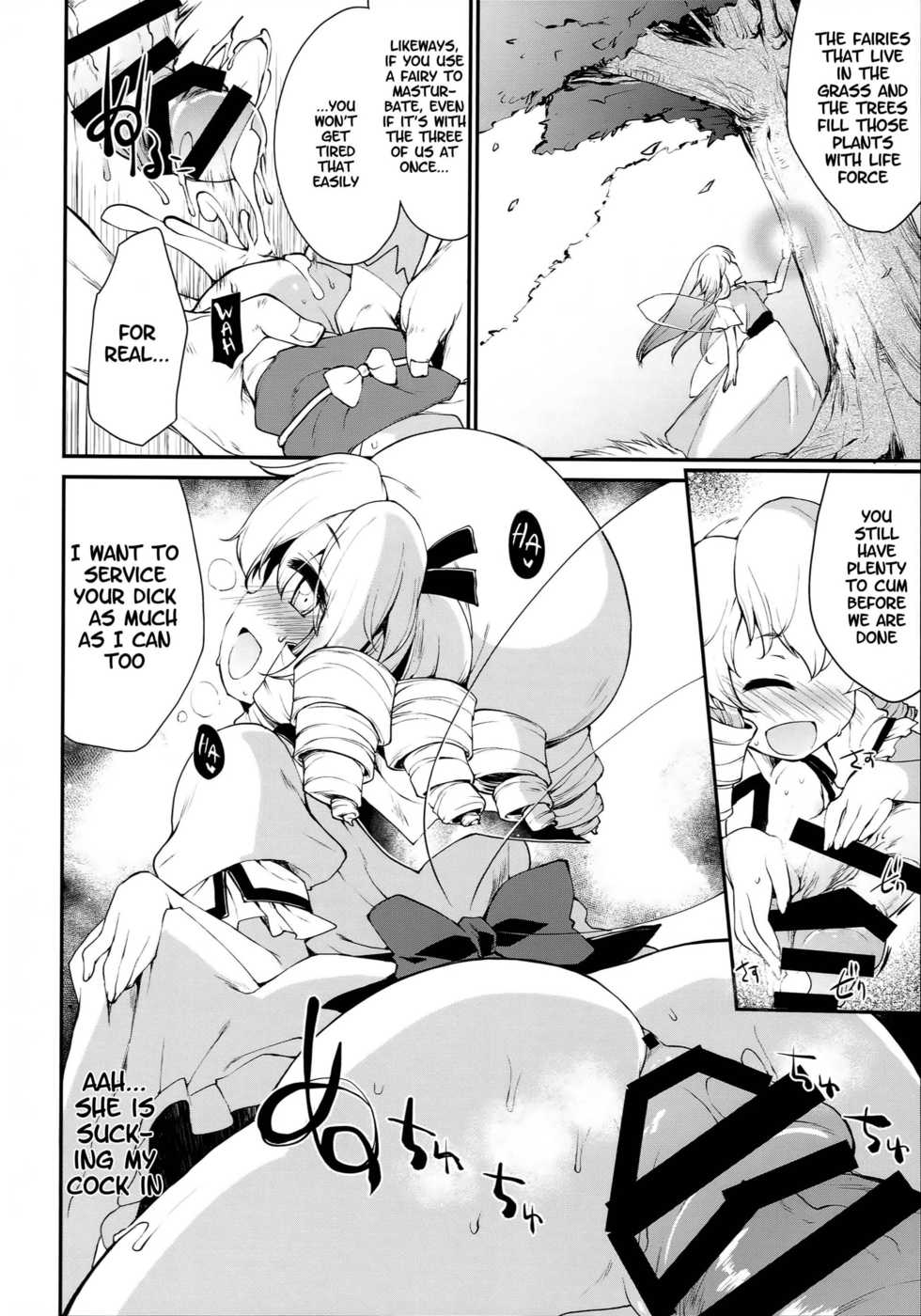 (C90) [IncluDe (Foolest)] SLS! Kawaii Yousei o Onahole ni Shiyou (Touhou Project) [English] - Page 10