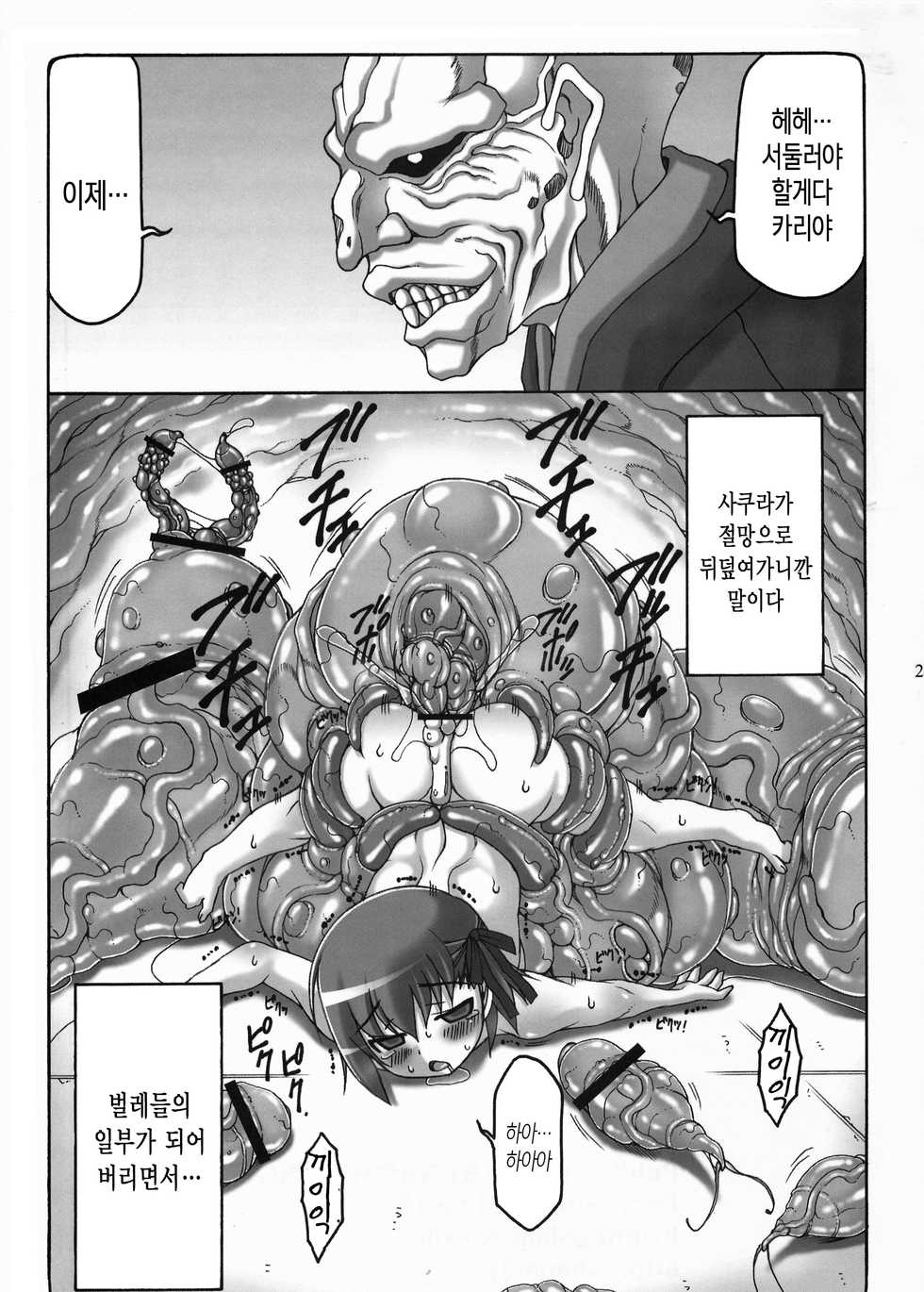 (C82) [Abarenbow Tengu (Izumi Yuujiro)] Kotori Zero 2 (Fate/Zero)  [korean] - Page 22