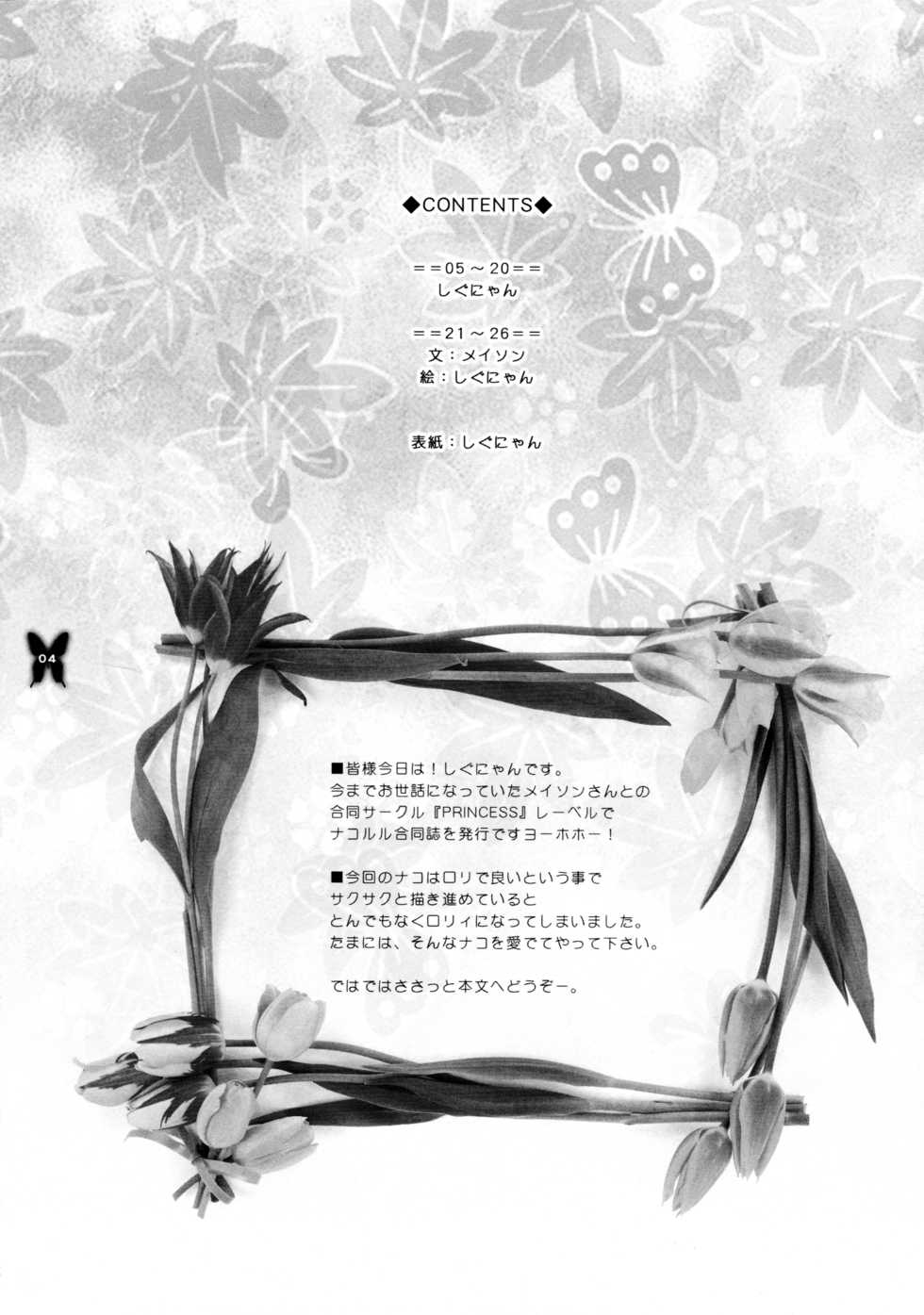 (C65) [Shigunyan (Mason,Shigunyan)] Kagayaku Chou ga Chi ni Inoru (Samurai Spirits) - Page 4