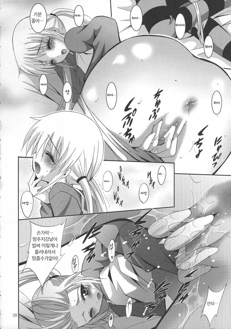 (SC36) [Studio BIG-X (Arino Hiroshi)] MOUSOU THEATER 21 (Hayate no Gotoku!) [Korean] [뀨뀨꺄꺄] - Page 38