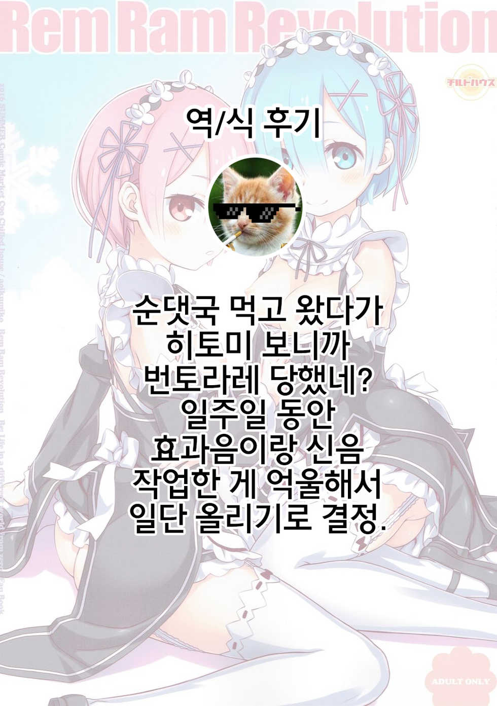 (C90) [CHILLED HOUSE (Aoi Kumiko)] Rem Ram Revolution (Re:Zero kara Hajimeru Isekai Seikatsu) [Korean] [꼰대] - Page 20