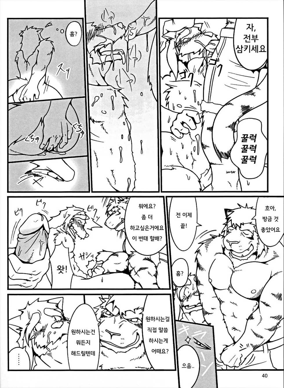 (C75) [Komebitsu (Shamoji)] Thank You & Thank You 2 [Korean] [Team Warmhug] [Decensored] - Page 40