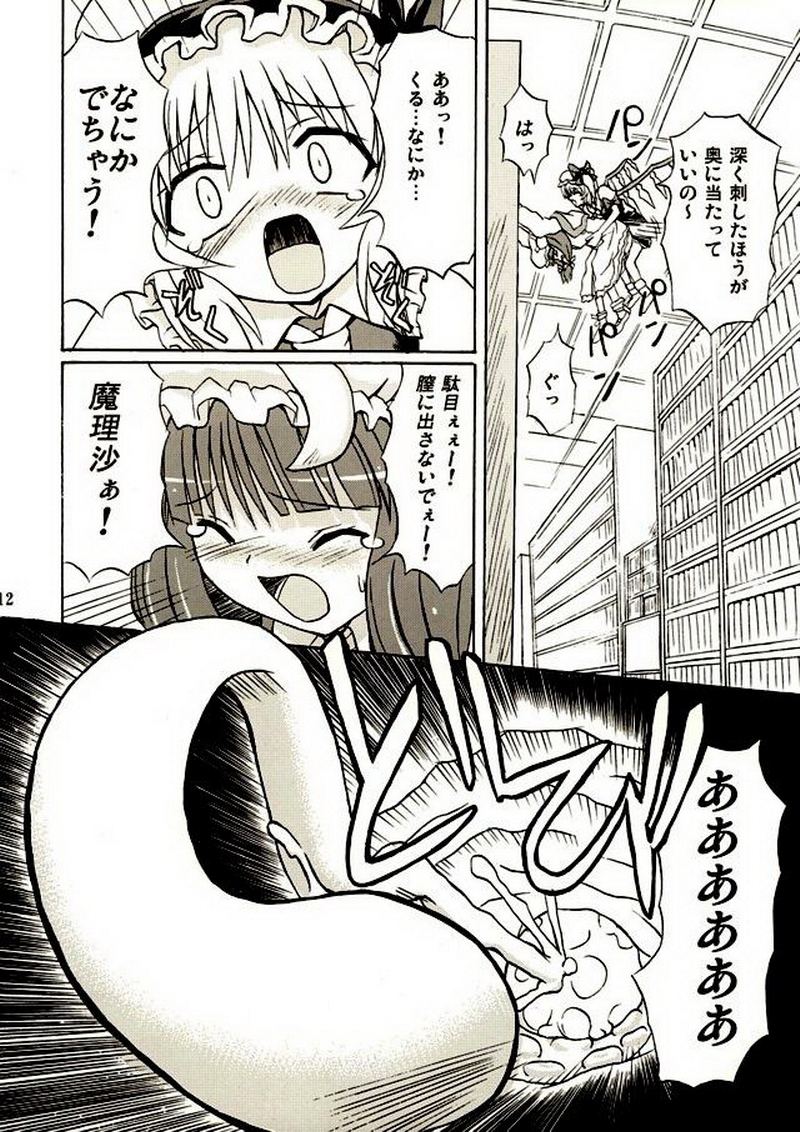 (Reitaisai 2) [Takakuya (Takaku Toshihiko)] Touhou Youjo Ranbu 2 (Touhou Project) - Page 11