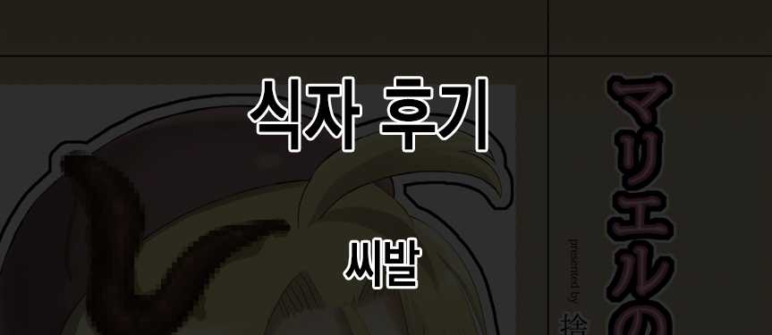 (A3) [Suteinu Nursery (Hagotae Spa)] Mariel no Nichijou 2 (Wild Arms) [Korean] [강세희] - Page 28