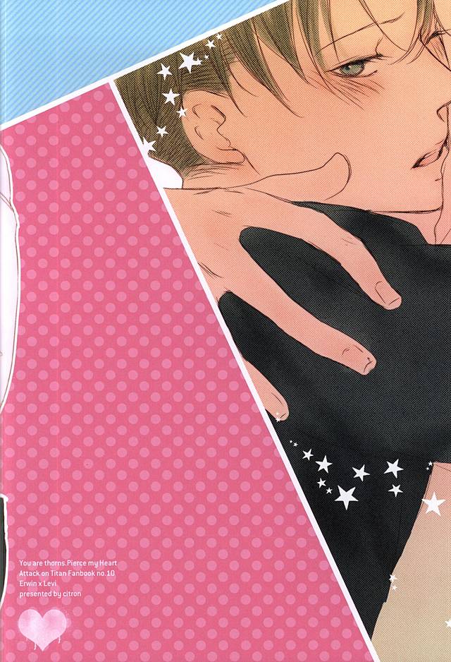 (SPARK10) [citron (Remo)] Kimi wa Ore no Shinzou o Tsukisasu Toge (Shingeki no Kyojin) - Page 29