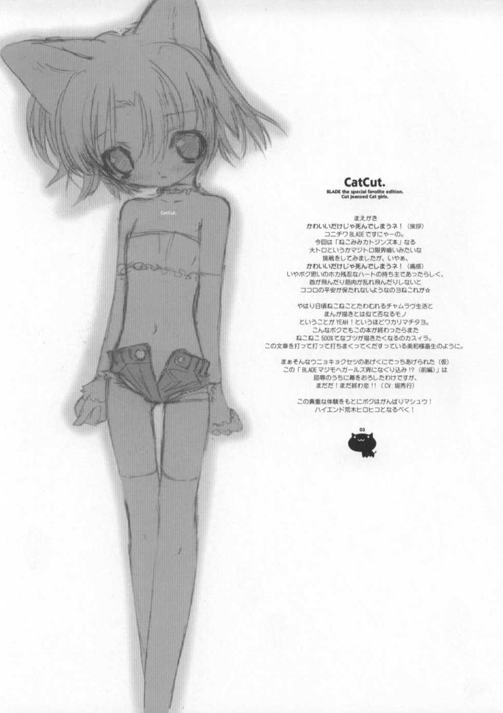 (C60) [GALAXIST (BLADE)] CAT CUT [English] [Hmanga-Project] - Page 4
