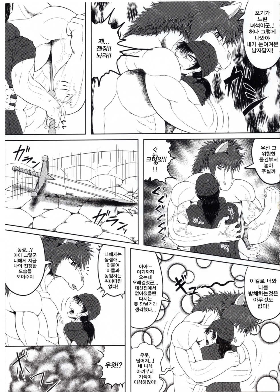 (Kansai! Kemoket 5) [Seiitsukyou (Goto-Beido)] Tenkuu no Uma Yome (Dragon Quest V) [Korean] - Page 4