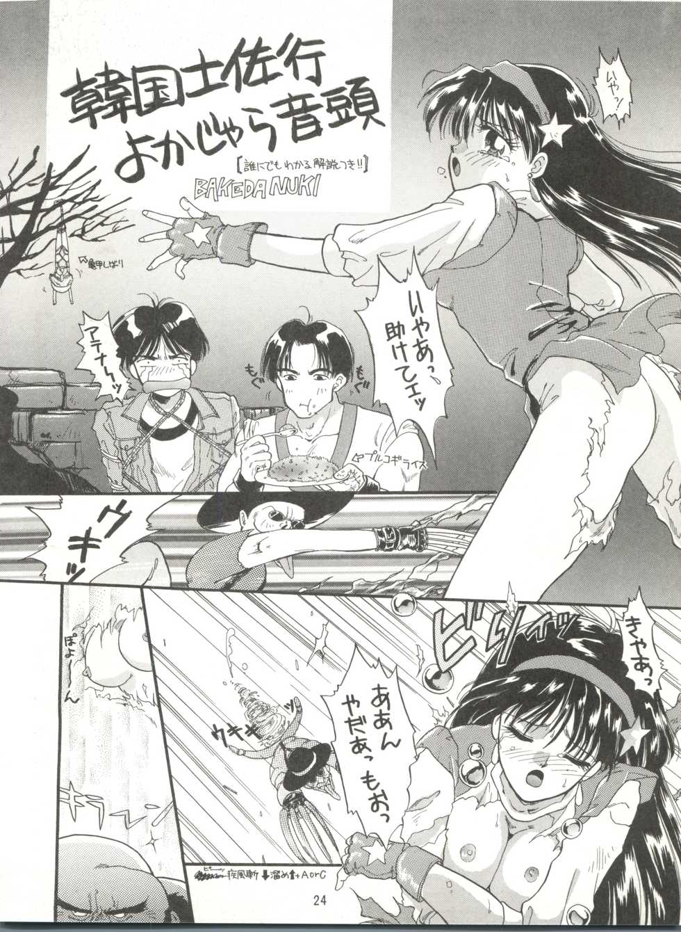 (C47) [Project Harakiri (Kaishaku)] KAISHAKU 9 (Various) - Page 23