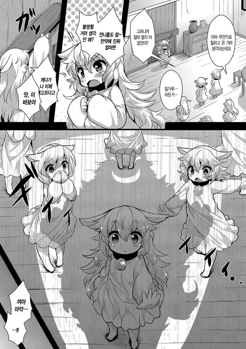 [ro] Ookami to Shichihiki no Koyagi Detail [Korean] [Digital] - Page 3