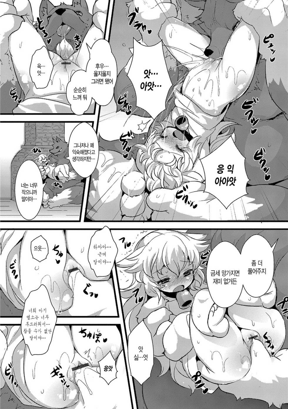 [ro] Ookami to Shichihiki no Koyagi Detail [Korean] [Digital] - Page 6