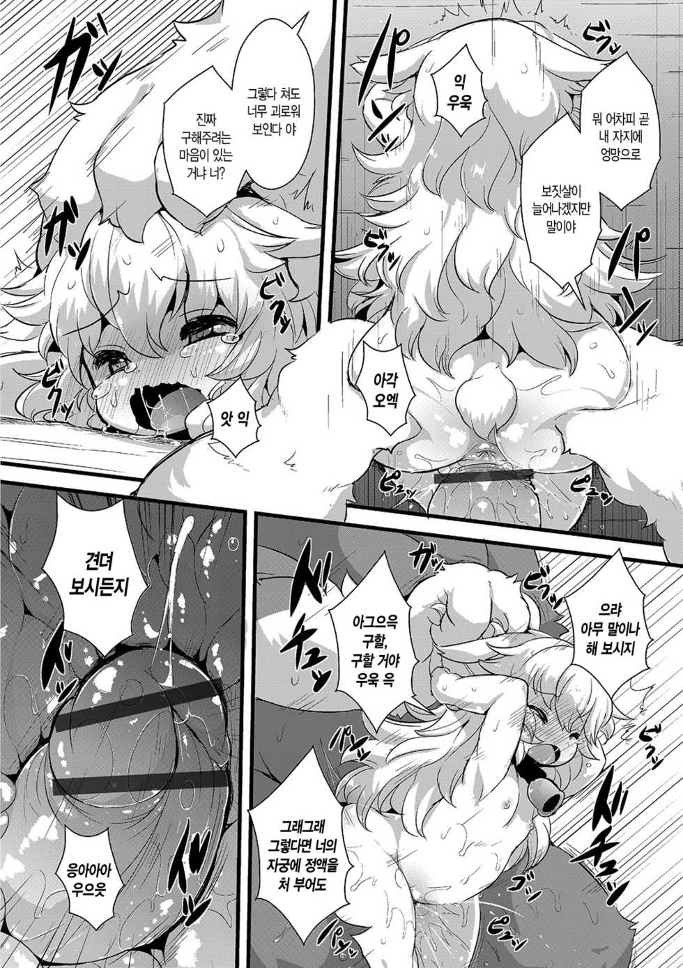 [ro] Ookami to Shichihiki no Koyagi Detail [Korean] [Digital] - Page 12