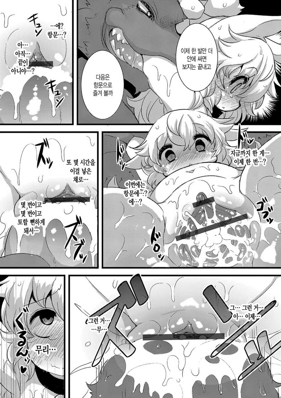 [ro] Ookami to Shichihiki no Koyagi Detail [Korean] [Digital] - Page 17
