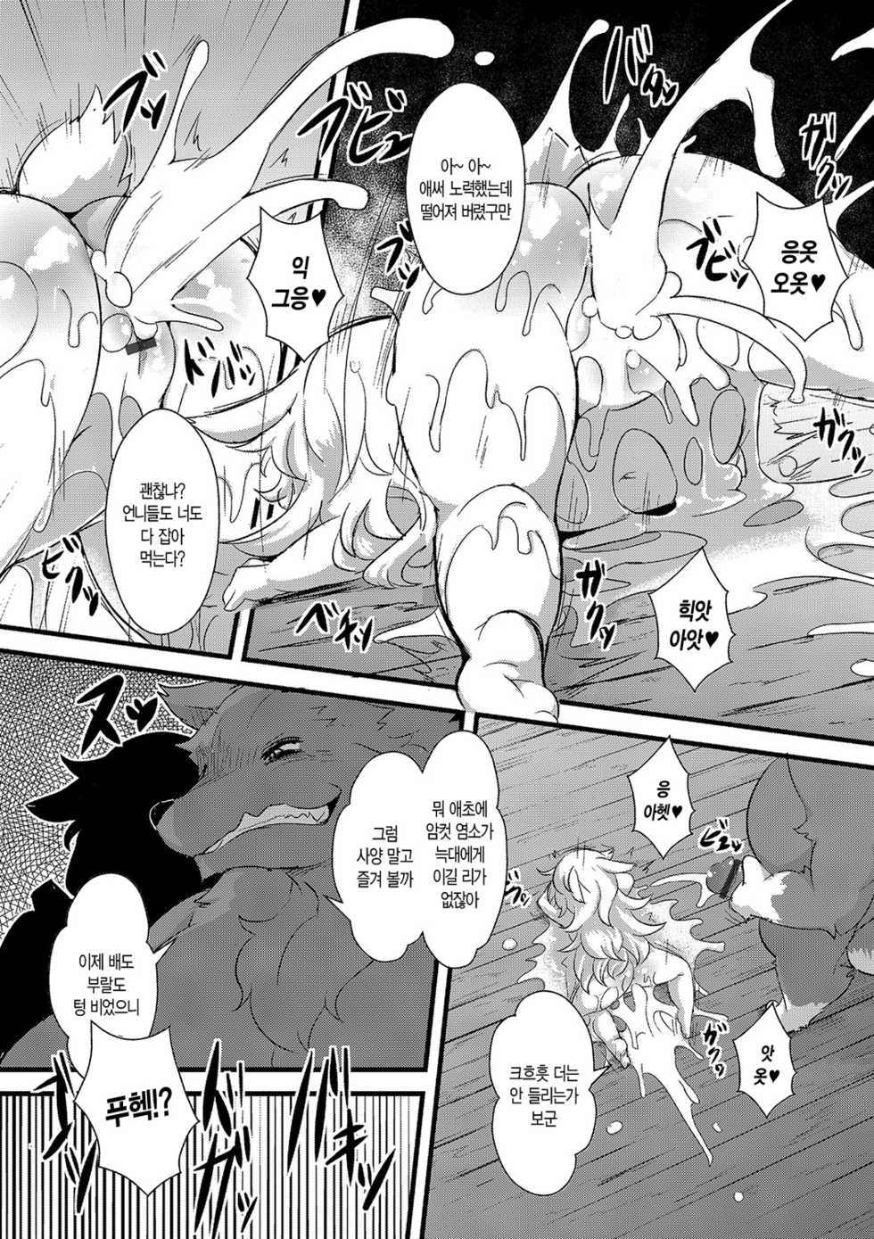 [ro] Ookami to Shichihiki no Koyagi Detail [Korean] [Digital] - Page 19