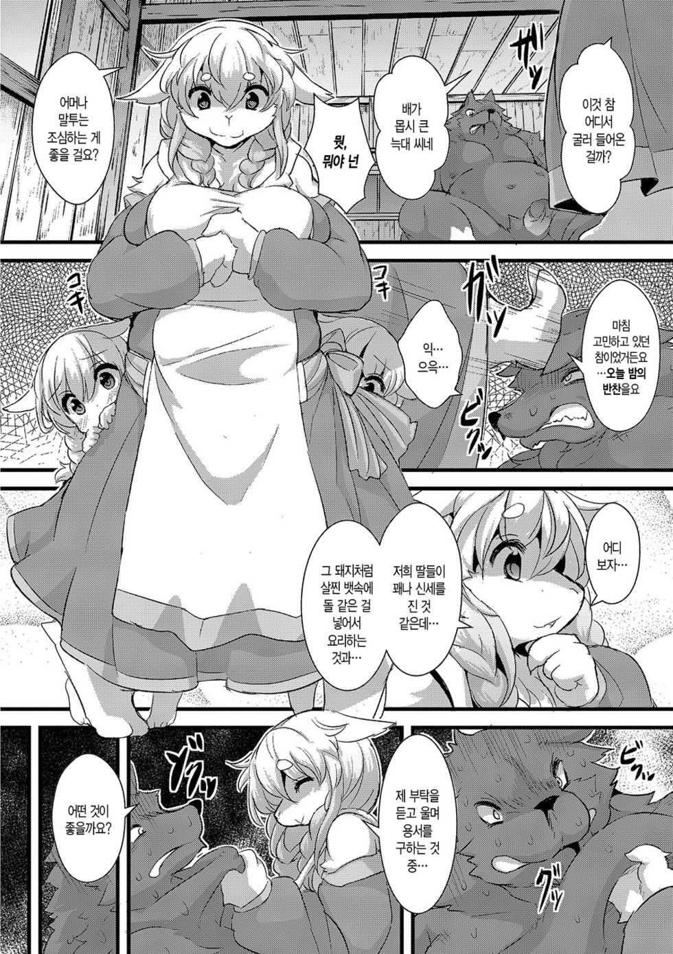 [ro] Ookami to Shichihiki no Koyagi Detail [Korean] [Digital] - Page 20