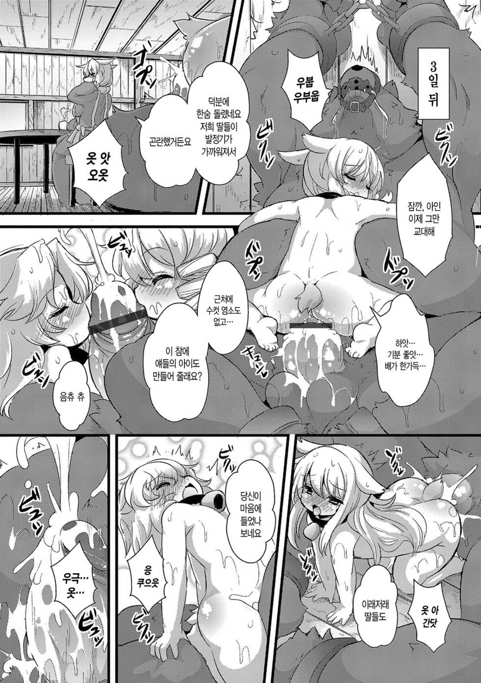 [ro] Ookami to Shichihiki no Koyagi Detail [Korean] [Digital] - Page 21