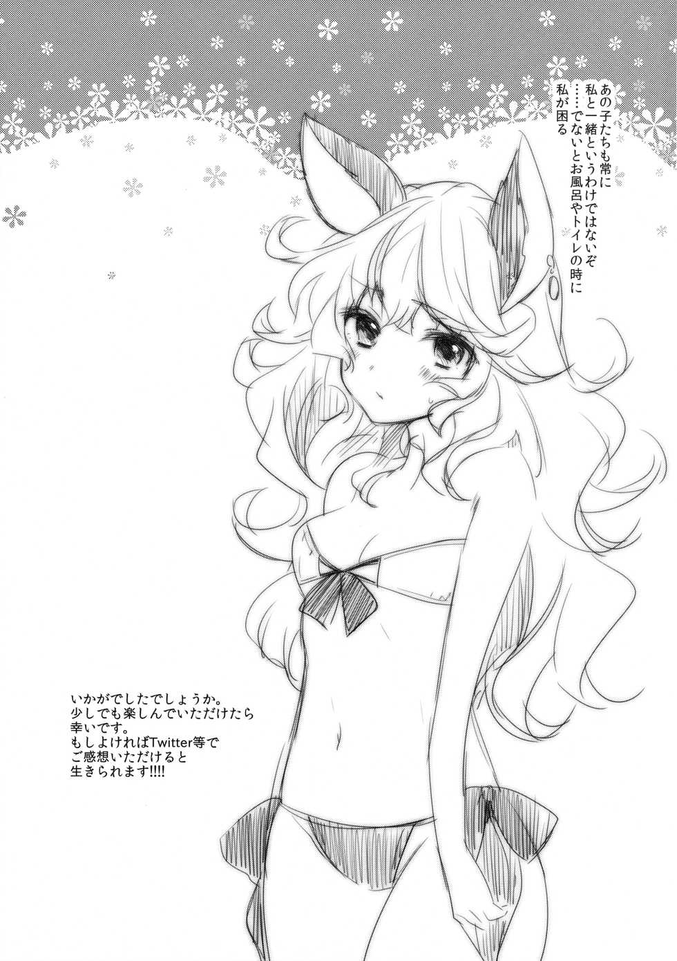 (C90) [cherry*pepper (Yukian)] SUMMER VERSION (Granblue Fantasy) - Page 16