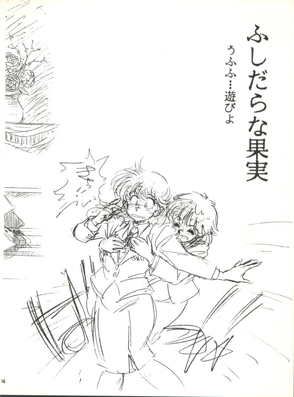 (C37) [Kuri Pururun Seisaku Iinkai (Araizumi Rui)] Koko dake no Kuri Pururun - Page 16