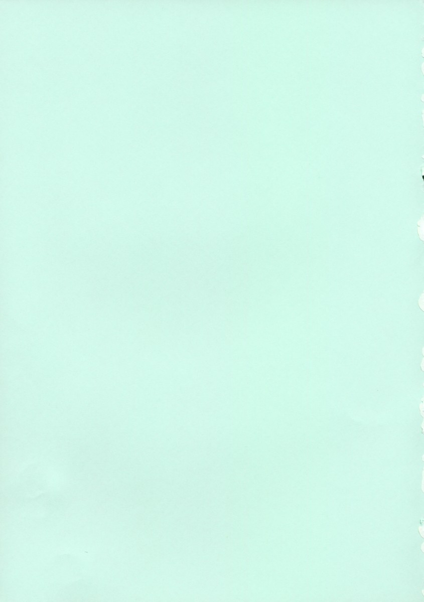 (C56) [Bakuhatsu BRS. (Bakuhatsu Gorou, Jomo)] Dokkiri Marl Oukoku (Maru Oukoku no Ningyou Hime) - Page 2