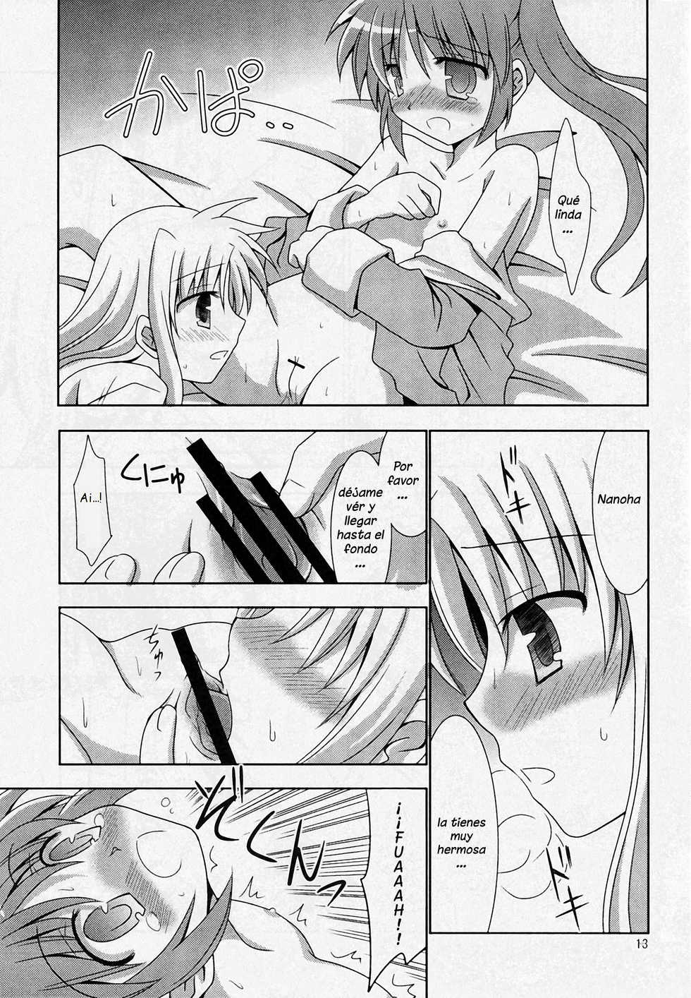(C77) [Sagamani. (Sagami Inumaru)] Yoru ga Akeru Made | Hasta el Amanecer (Mahou Shoujo Lyrical Nanoha) [Spanish] [Nekomi Fansub] - Page 12