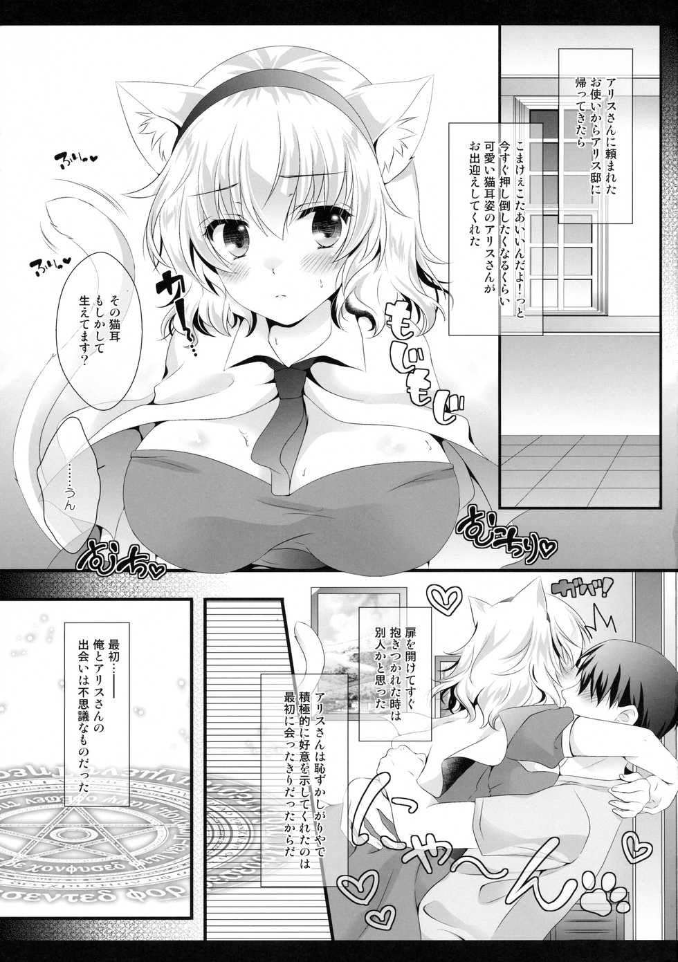 (Kouroumu 12) [Setoran (Itou Seto, Tanno Ran)] Alice World Omorashi Nyanko (Touhou Project) - Page 4