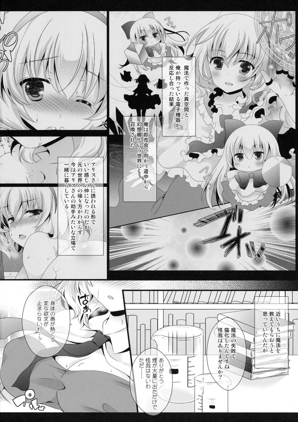 (Kouroumu 12) [Setoran (Itou Seto, Tanno Ran)] Alice World Omorashi Nyanko (Touhou Project) - Page 5