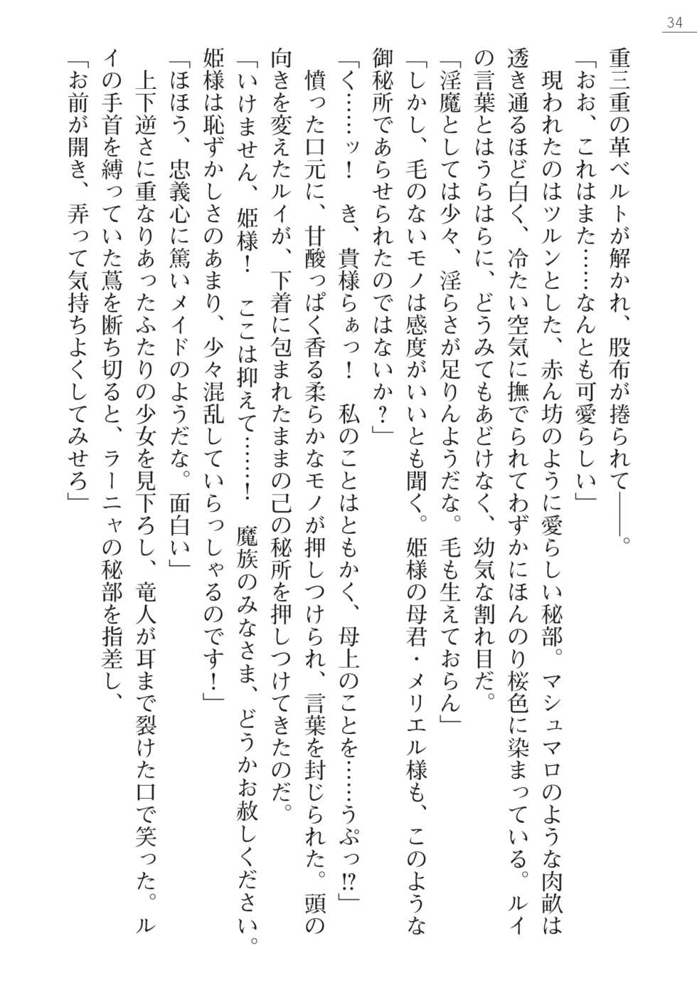 [Ishiba Yoshikazu, Akechi Shizuku] Makai Princess Ranya - Page 34