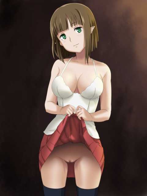 (C88) [Onagoya (Kotobuki Hajime)] Onagoya Rakugaki CG Shuu 30 (Dungeon ni Deai o Motomeru no wa Machigatte Iru Darouka) - Page 33