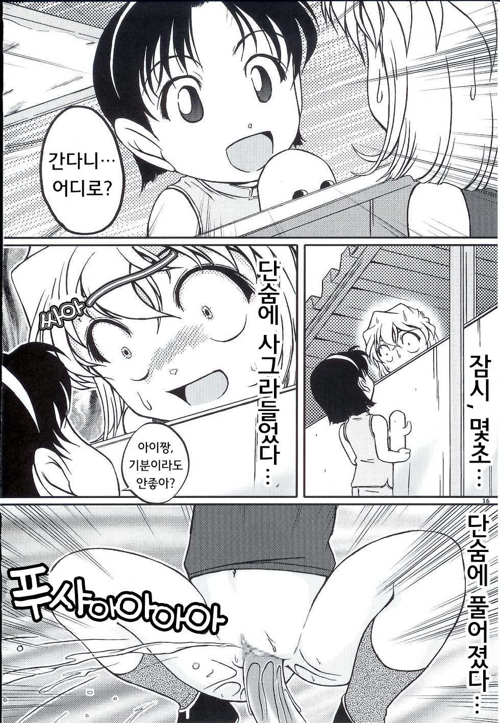 (C70) [Studio Empty (Nishi)] Ai Ai Seven | 아이아이 7호 (Detective Conan) [Korean] [Diavolo] - Page 14