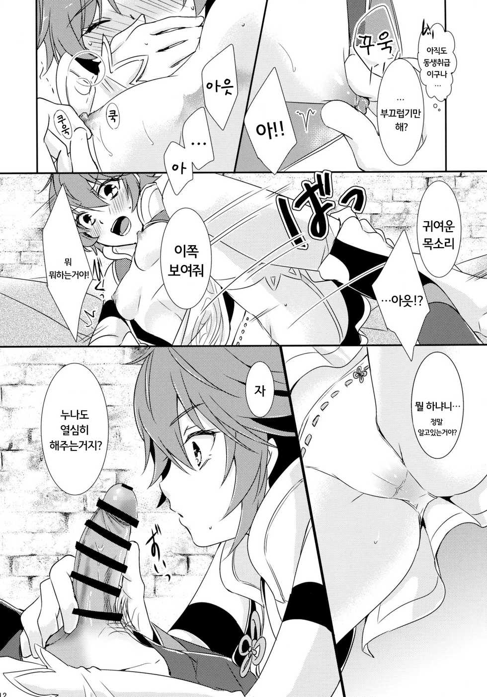 (C88) [ACIDSEA (Asuma Omi)] SWEET SCARLET SISTER (Fire Emblem if) [Korean] [에밀리아] - Page 13