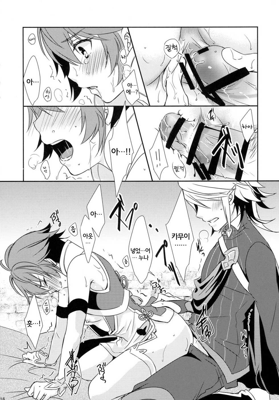 (C88) [ACIDSEA (Asuma Omi)] SWEET SCARLET SISTER (Fire Emblem if) [Korean] [에밀리아] - Page 17