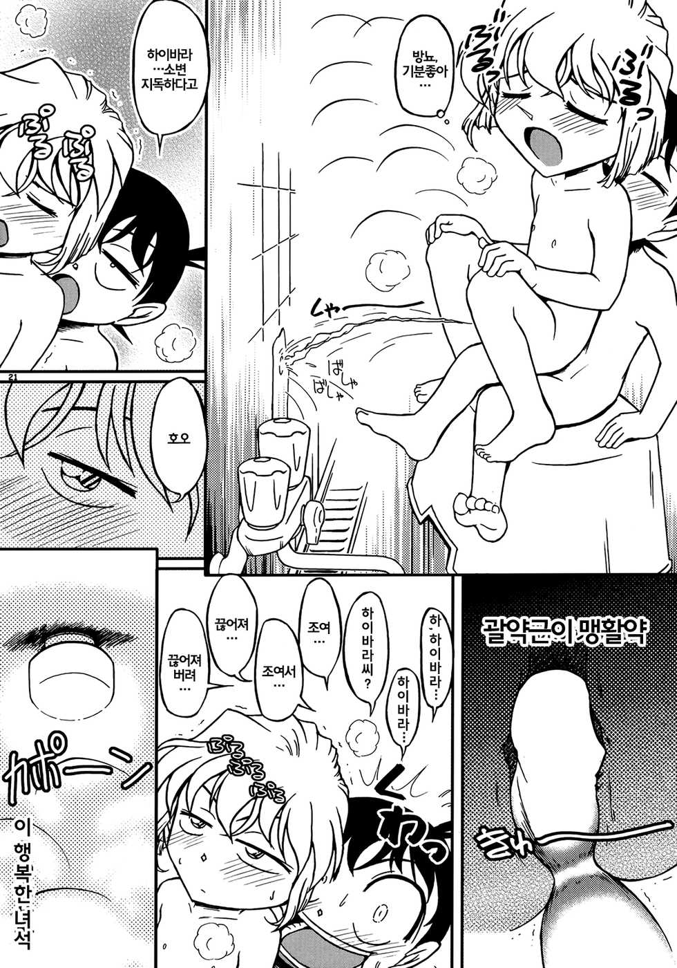 (C69) [studio empty (Nishi)] Ima, Ai ni Yukimasu (Detective Conan) [Korean] [EuropaDugatie] - Page 20