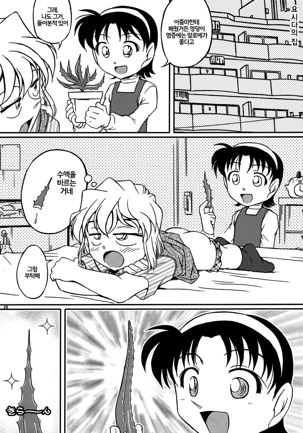 (C69) [studio empty (Nishi)] Ima, Ai ni Yukimasu (Detective Conan) [Korean] [EuropaDugatie] - Page 24
