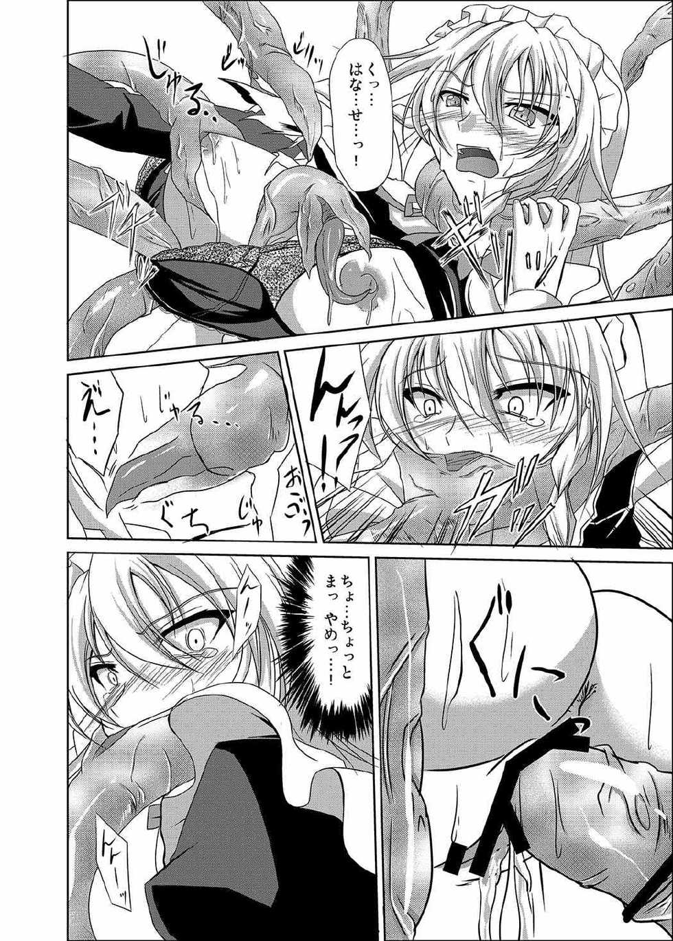 (C81) [Rafflesia (Campbell Gichou)] Sakuya Shoku (Touhou Project) - Page 12