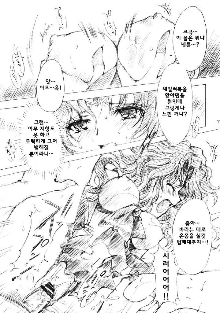 (C69) [Kotori Jimusho (Sakura Bunchou)] Kedakaki Senshi no Kuppuku | 긍지 높은 전사의 굴복 (Bishoujo Senshi Sailor Moon) [Korean] [팀 마피아] - Page 17